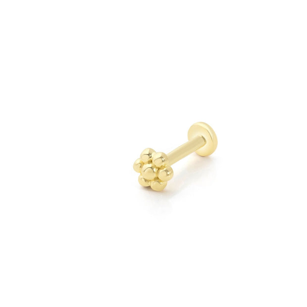 14k Gold Papatya Model Tragus Piercing