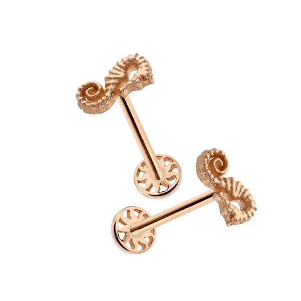 14k Gold Seahorse Figure Tragus Piercing