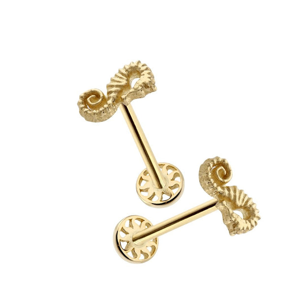 14k Gold Seahorse Figure Tragus Piercing