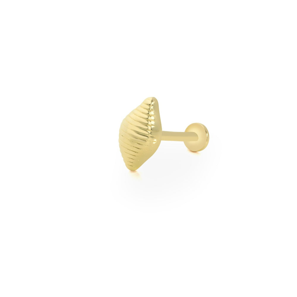 14k Gold Oyster Tragus Piercing