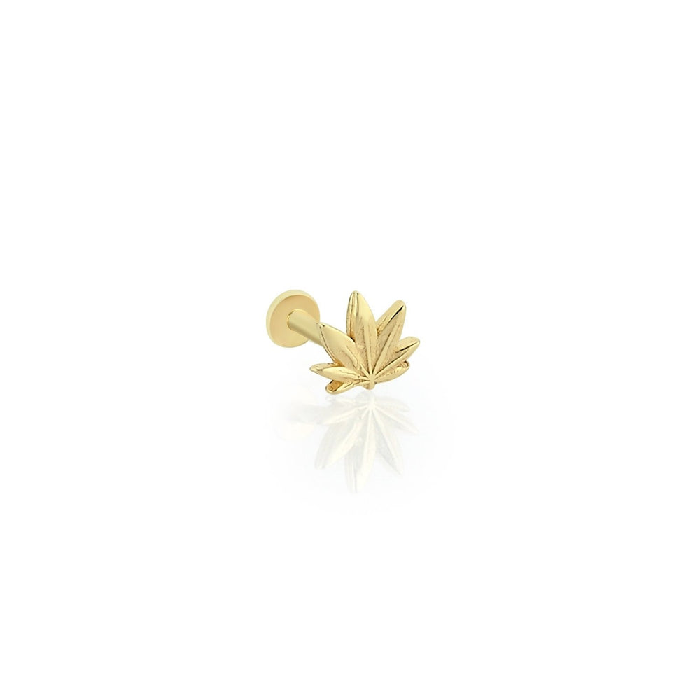 14k Gold Autumn Leaf Tragus Piercing